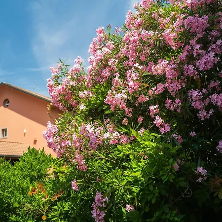 With Garden And Private Parking Space *