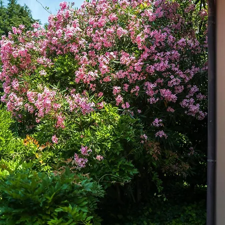 度假居 With Garden And Private Parking Space